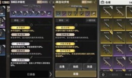 国服超凡先锋爆料视频在线观看,独家爆料视频带你领略游戏魅力